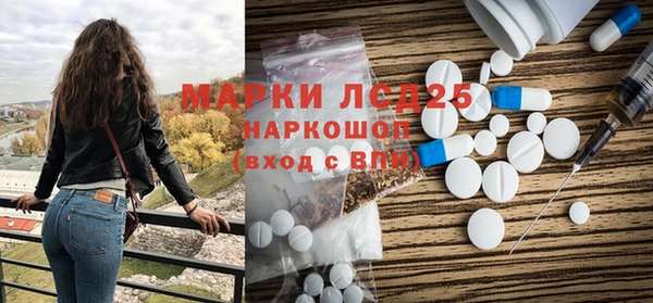 PSILOCYBIN Козловка