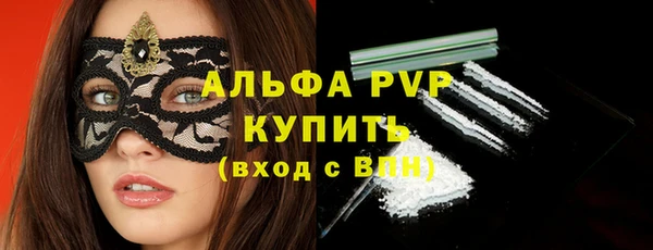PSILOCYBIN Козловка