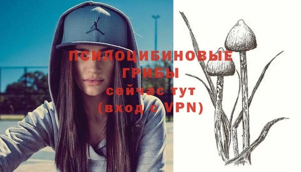 PSILOCYBIN Козловка