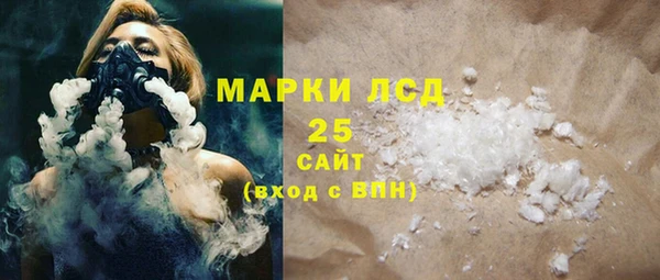 PSILOCYBIN Козловка
