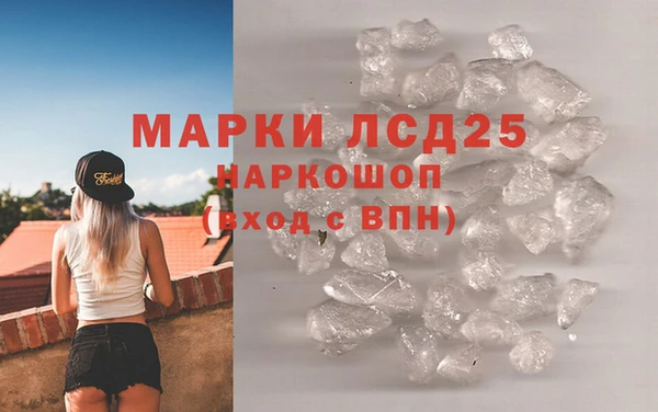 PSILOCYBIN Козловка