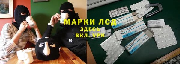 PSILOCYBIN Козловка