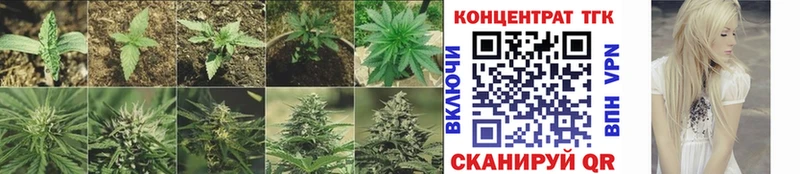 Дистиллят ТГК гашишное масло  Купить  Камышин 